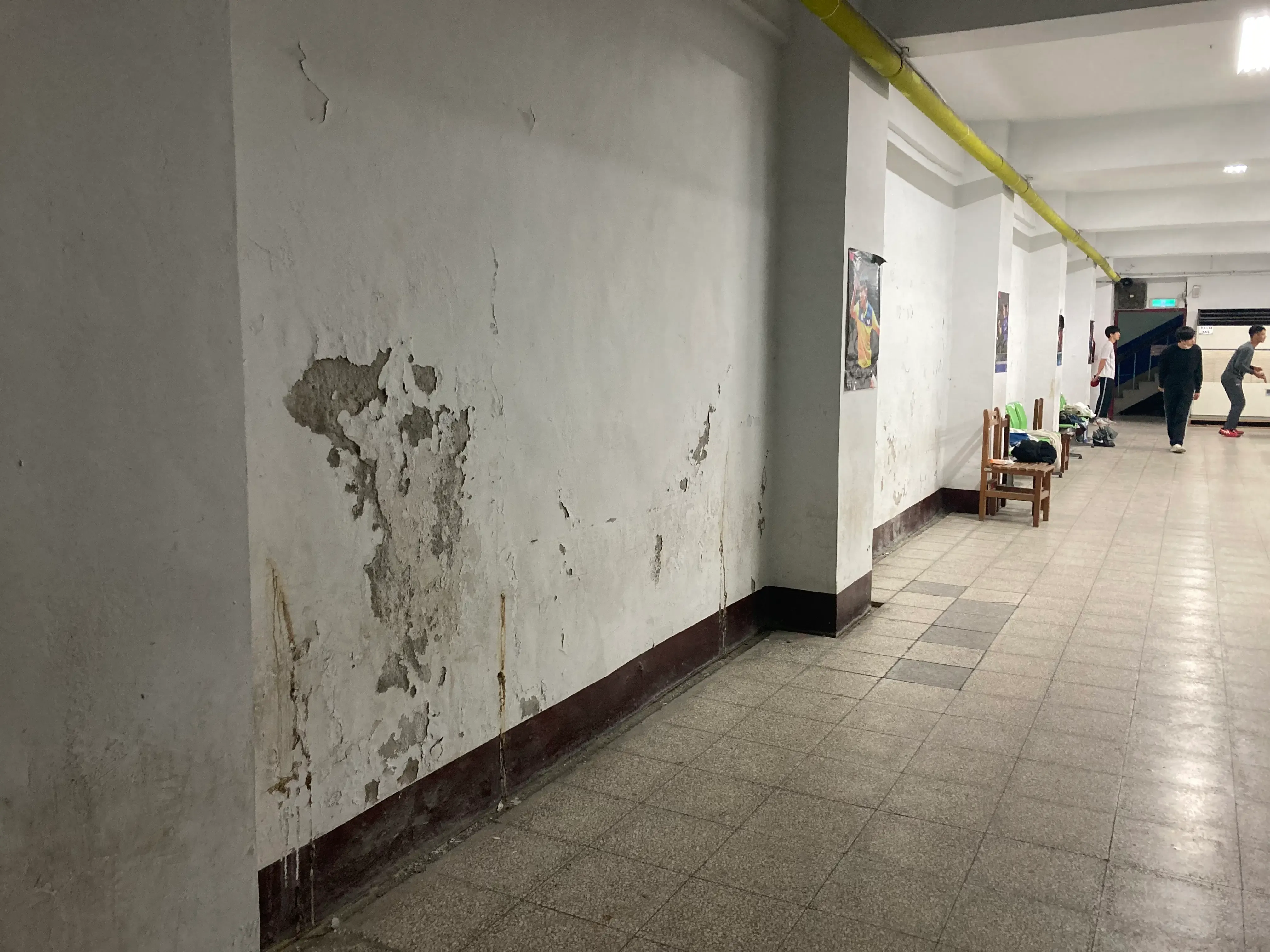 《桌/撞球室維護》說明圖片